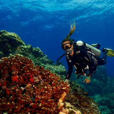 Tour Full Day Coiba