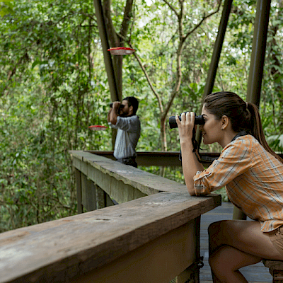 Gamboa Rainforest Resort